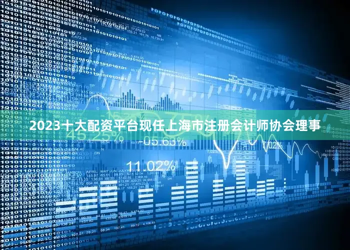 2023十大配资平台现任上海市注册会计师协会理事
