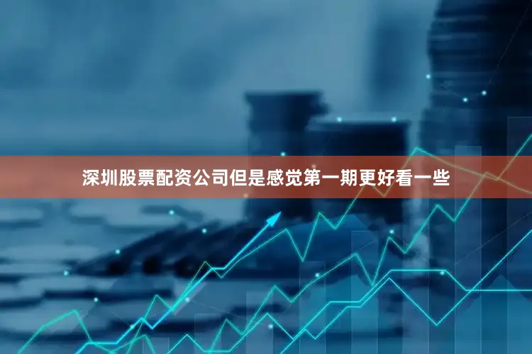 深圳股票配资公司但是感觉第一期更好看一些