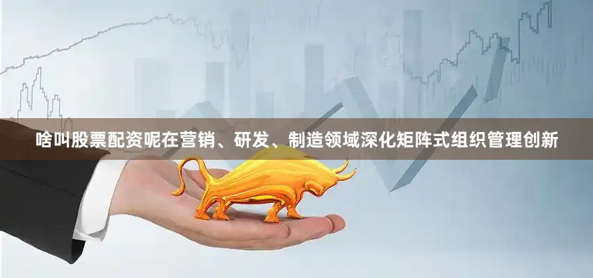 啥叫股票配资呢在营销、研发、制造领域深化矩阵式组织管理创新